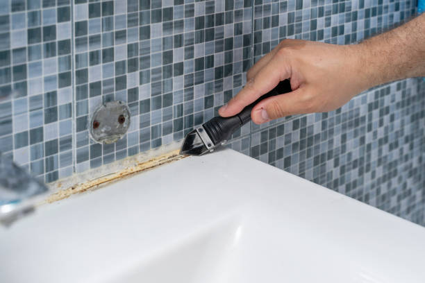 Best Certified Mold Removal  in Chesapeake Ranch Estates, MD